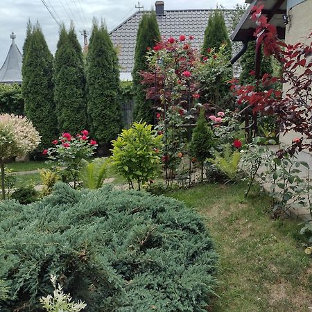 Casa Mamei Suczawa Pokój zdjęcie