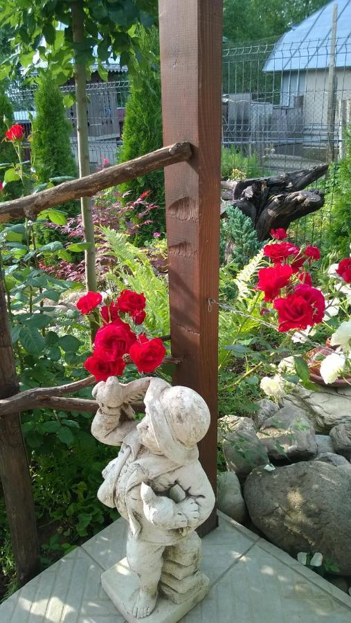 Casa Mamei Suczawa Zewnętrze zdjęcie