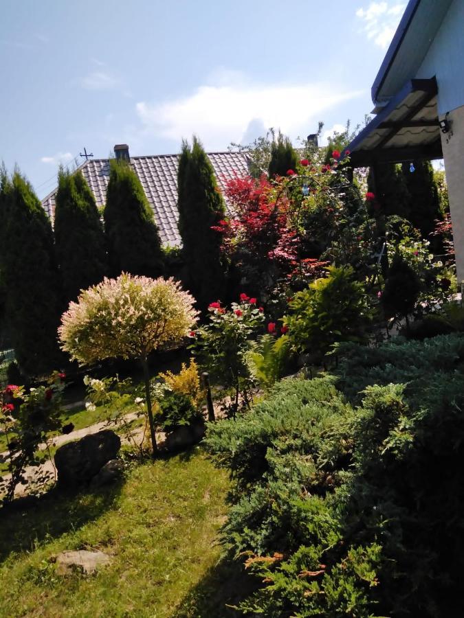 Casa Mamei Suczawa Zewnętrze zdjęcie