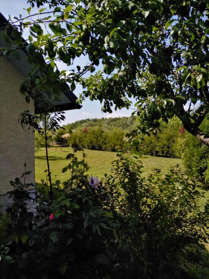 Casa Mamei Suczawa Zewnętrze zdjęcie