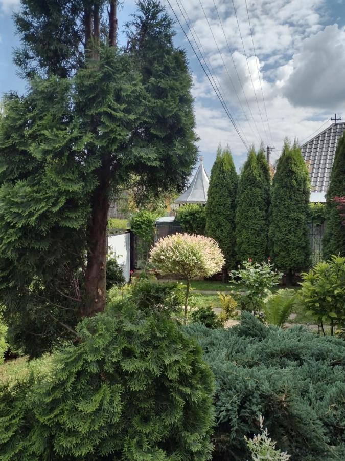 Casa Mamei Suczawa Zewnętrze zdjęcie