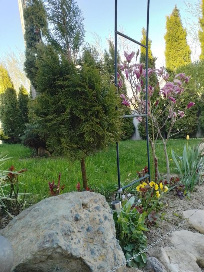 Casa Mamei Suczawa Zewnętrze zdjęcie