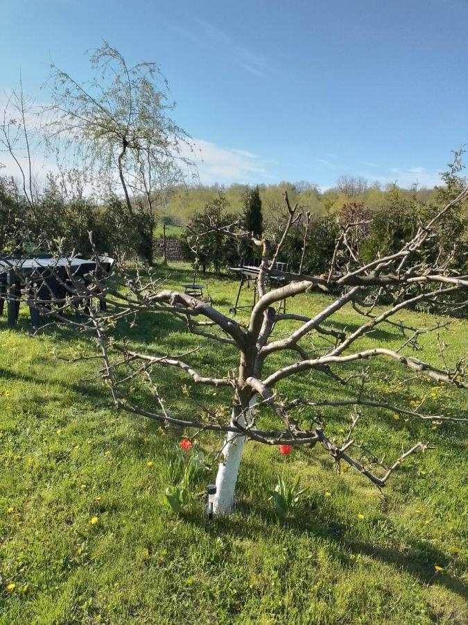 Casa Mamei Suczawa Zewnętrze zdjęcie