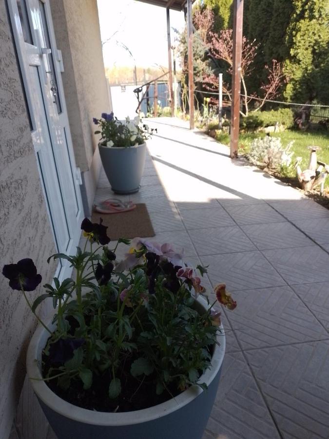 Casa Mamei Suczawa Zewnętrze zdjęcie