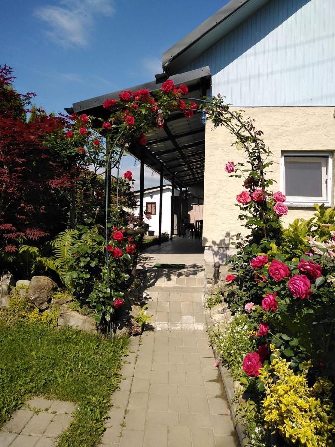 Casa Mamei Suczawa Zewnętrze zdjęcie