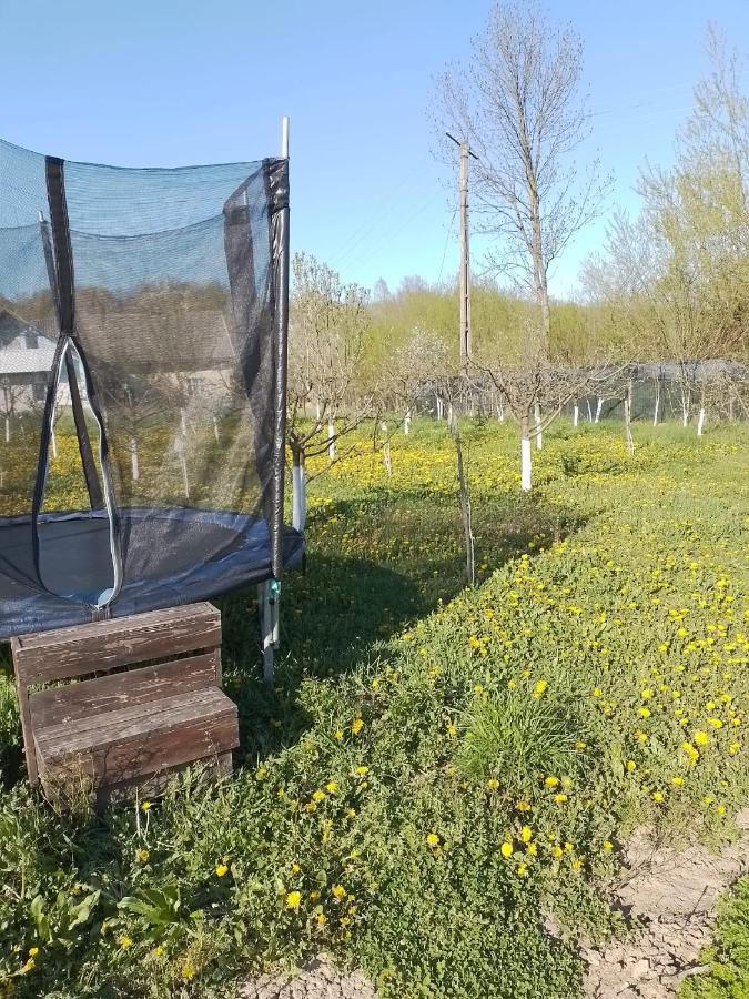 Casa Mamei Suczawa Zewnętrze zdjęcie