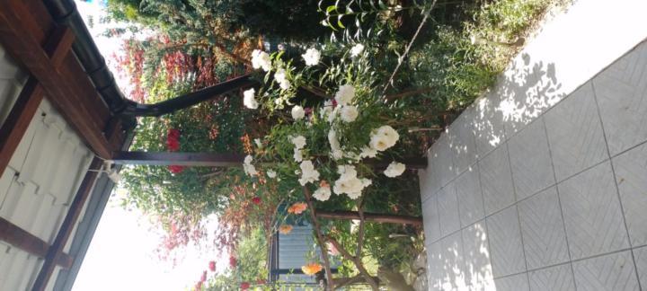 Casa Mamei Suczawa Zewnętrze zdjęcie
