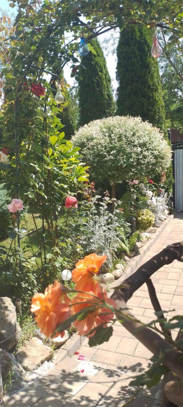 Casa Mamei Suczawa Zewnętrze zdjęcie