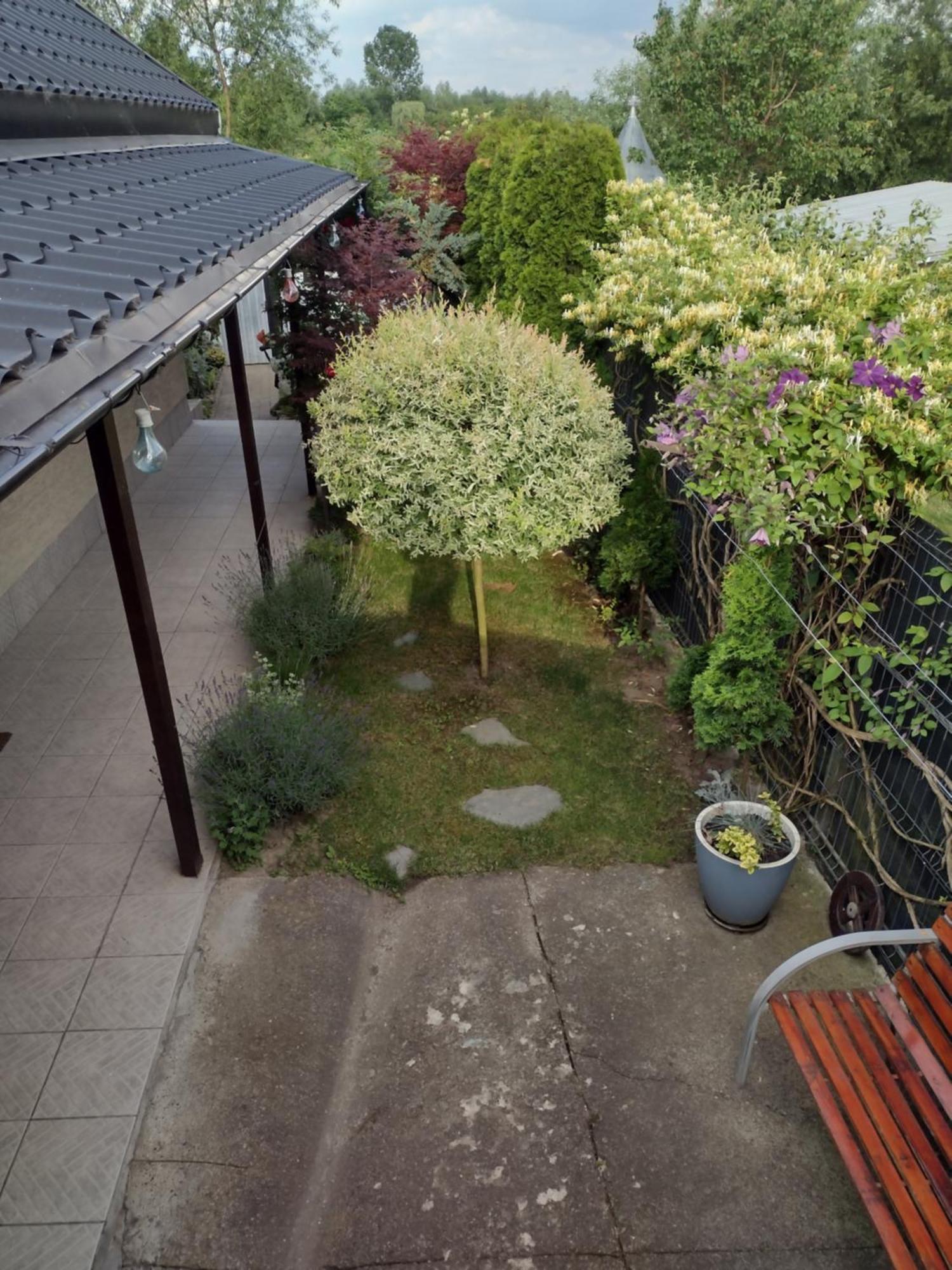 Casa Mamei Suczawa Zewnętrze zdjęcie
